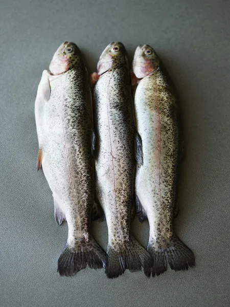 Três peixes de truta — Fotografia de Stock