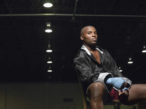 Boxer sitting on chair — Stock Photo, Image