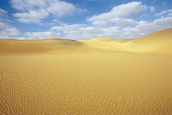 Wüste und Sanddünen unter blauem Himmel — Stockfoto