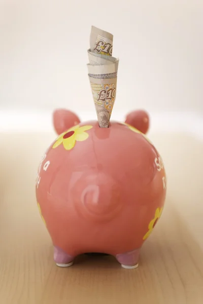 Banknotes and piggy bank — Stock Photo, Image