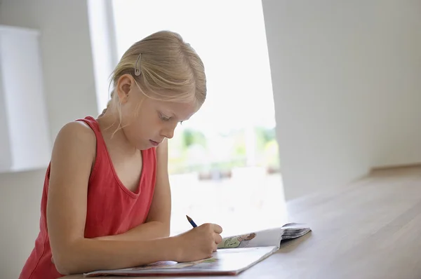 Chica haciendo la tarea —  Fotos de Stock