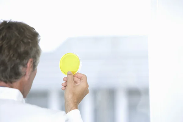 Scientist holding sample in laboratory — Stock Photo, Image