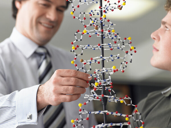 Teacher looking at DNA model 