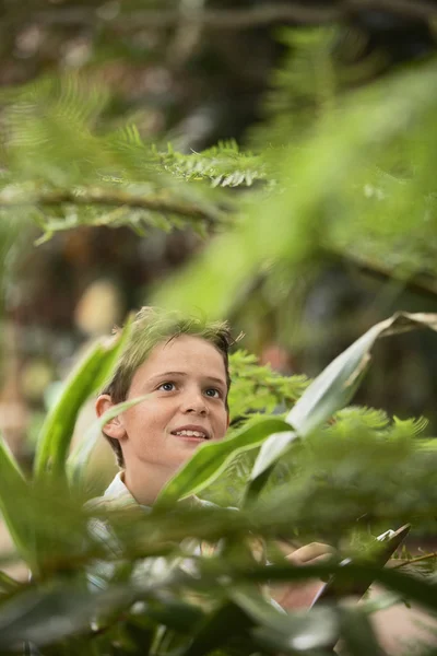 Menino viajando na floresta — Fotografia de Stock