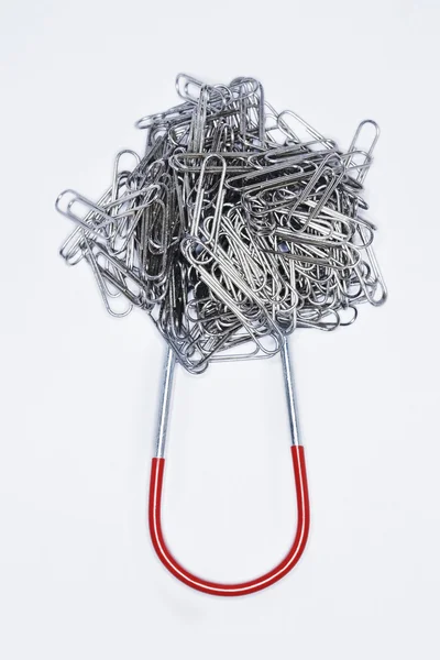 Magnet and Paper Clips — Stock Photo, Image