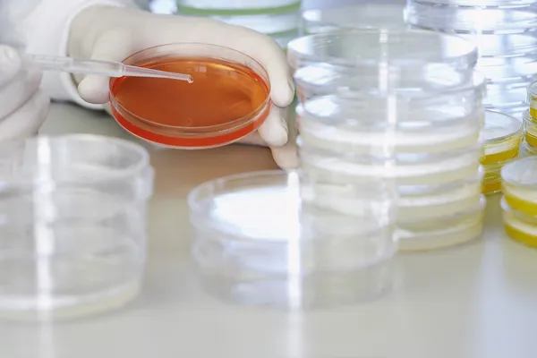 Lab worker with pipette — Stock Photo, Image