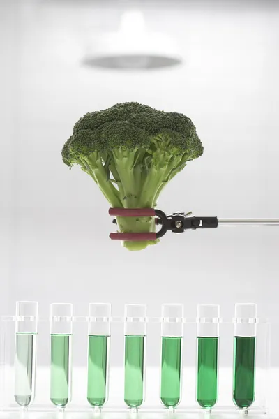 Testes de brócolis em laboratório — Fotografia de Stock