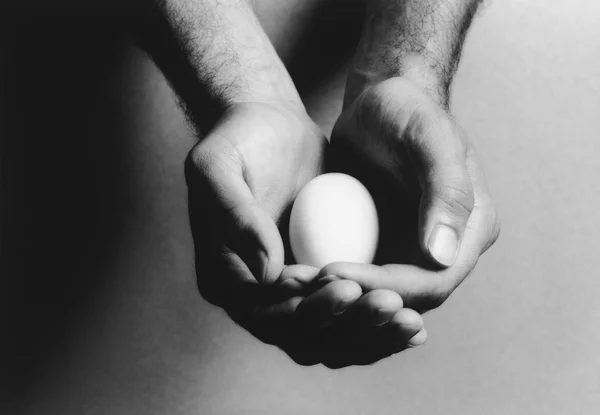 Яйцо с двумя руками — стоковое фото