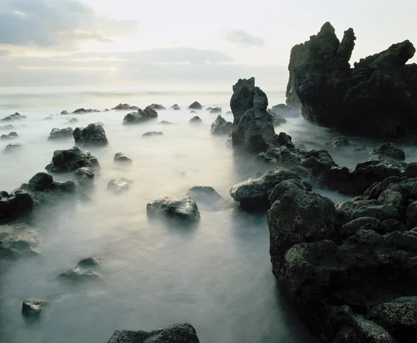 Skály na pobřeží zahalený v mlze — Stock fotografie