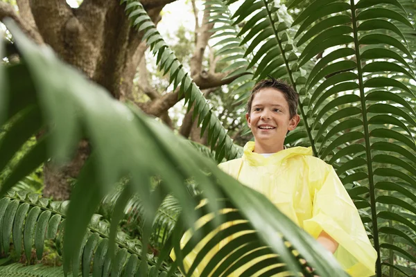 Menino de pé por Fern — Fotografia de Stock