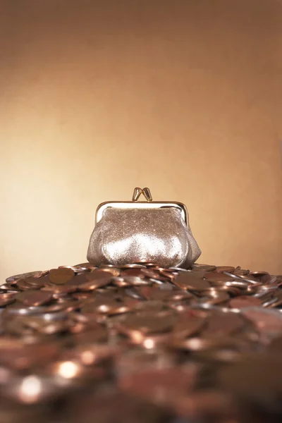 Coin Purse — Stock Photo, Image