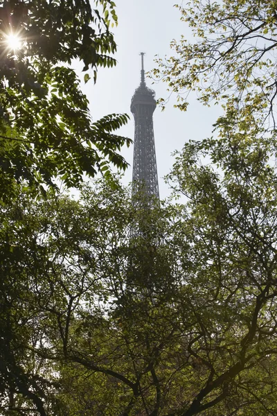 Eiffel tower gezien door bomen — Stockfoto