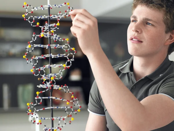 Teenager Junge arbeitet an dna-Modell — Stockfoto