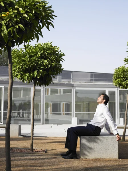 Businessman relaxing — Stock Photo, Image