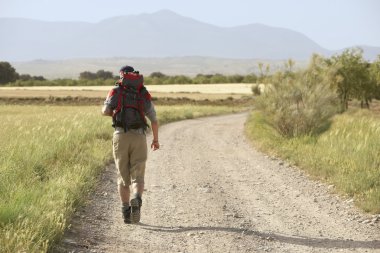 Hiker walking on country road clipart
