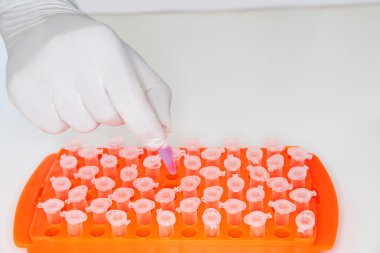 Lab Worker Examining Test Tubes clipart