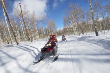 Couples riding on two snowmobiles clipart