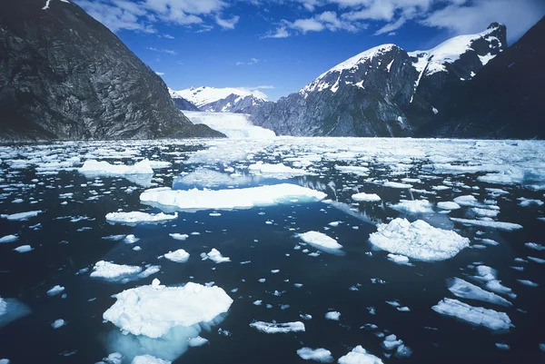 冰漂浮在海湾水面上 — 图库照片