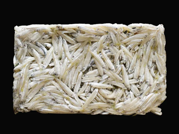 Bloque de anchoas —  Fotos de Stock