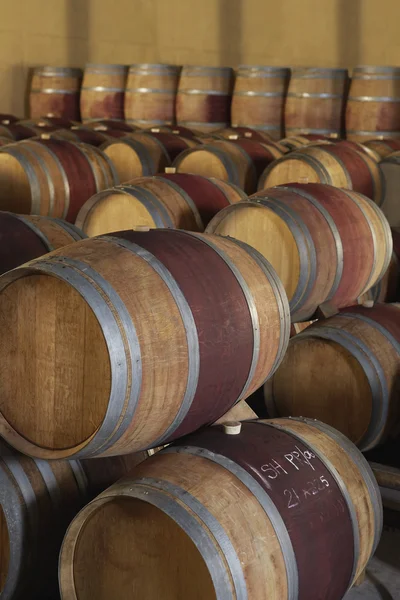 Cascos de vinho — Fotografia de Stock