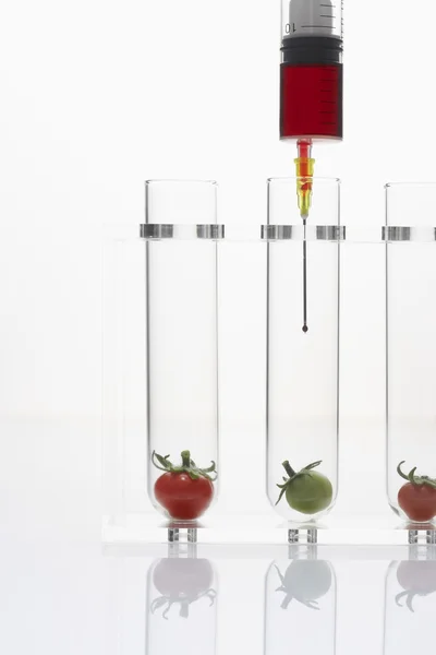 Tomatoes in test tubes — Stock Photo, Image