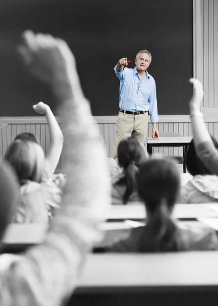 Lärare i klass — Stockfoto