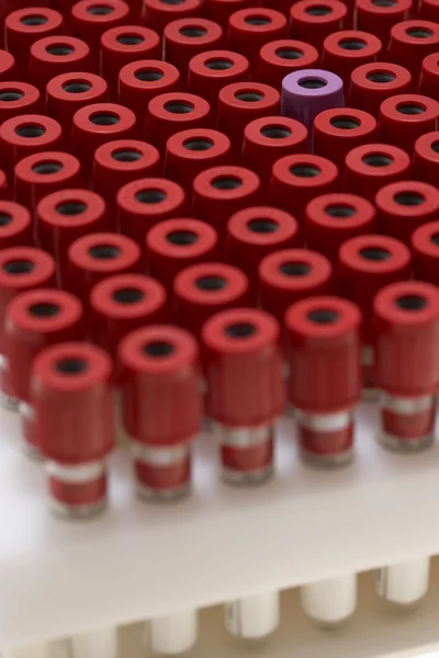 Tubos de ensaio vermelhos — Fotografia de Stock