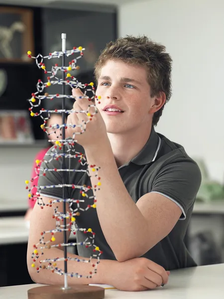 Menino trabalhando no modelo de DNA — Fotografia de Stock