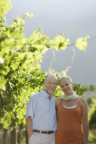 Pareja disfrutando de una tarde — Foto de Stock