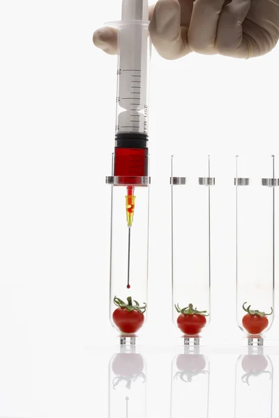 Tomatoes in test tubes — Stock Photo, Image