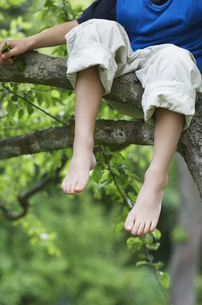 Pojken sitter på trädet — Stockfoto