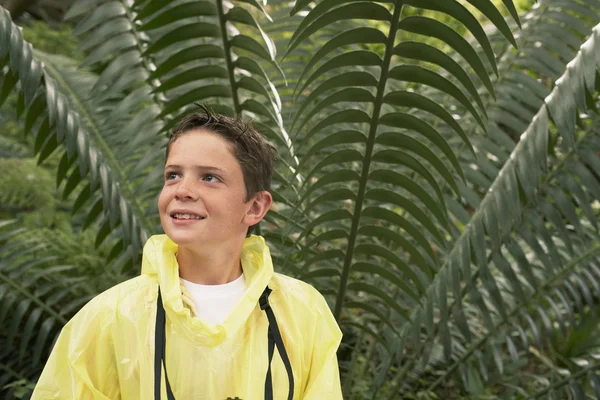 Menino de pé por Fern — Fotografia de Stock