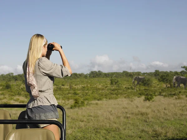 Perempuan di safari — Stok Foto