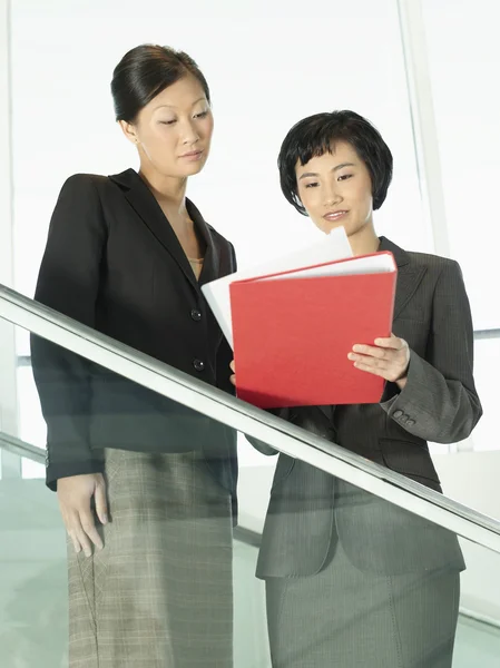 Business colleagues reviewing documents — Stock Photo, Image