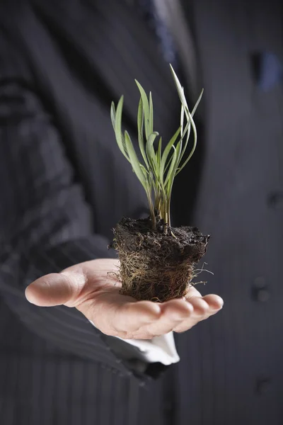 Affärsman som innehar en växt utan kruka — Stockfoto