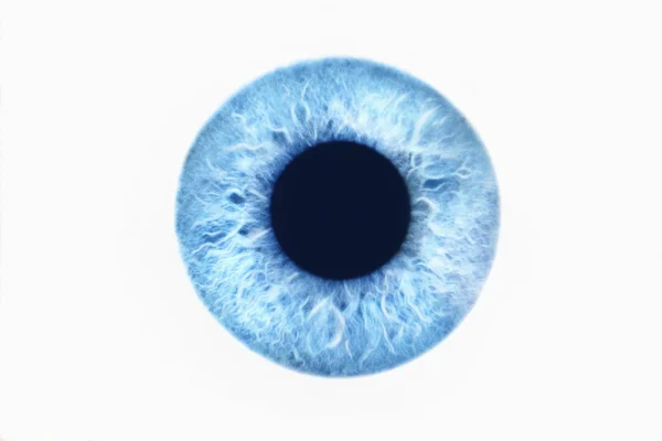 Ojo azul sobre fondo blanco — Foto de Stock