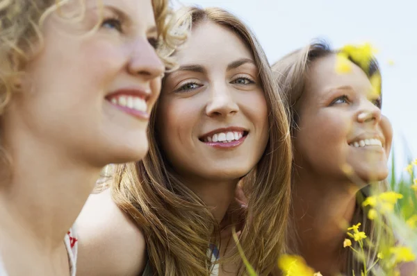 Femme assise avec des amis dans le champ — Photo