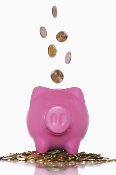 Piggy Bank — Stock Photo, Image