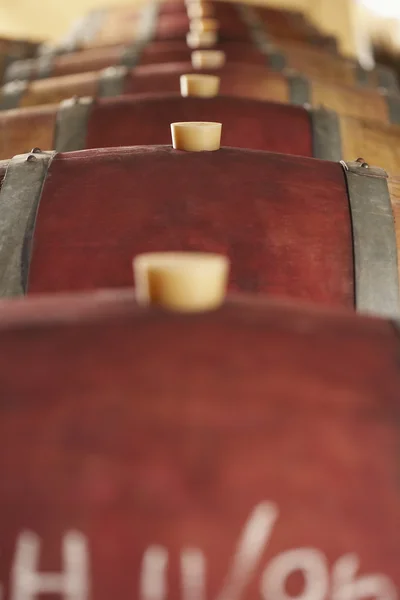 Kurk wijn vaten — Stockfoto