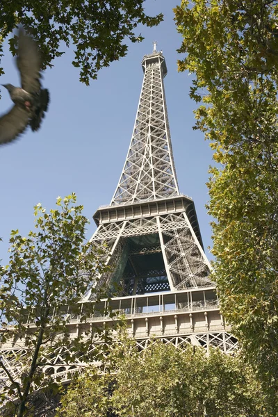 Torre Eiffel — Fotografia de Stock