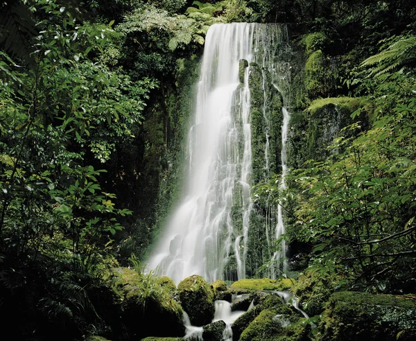 Cascata cascata — Fotografia de Stock