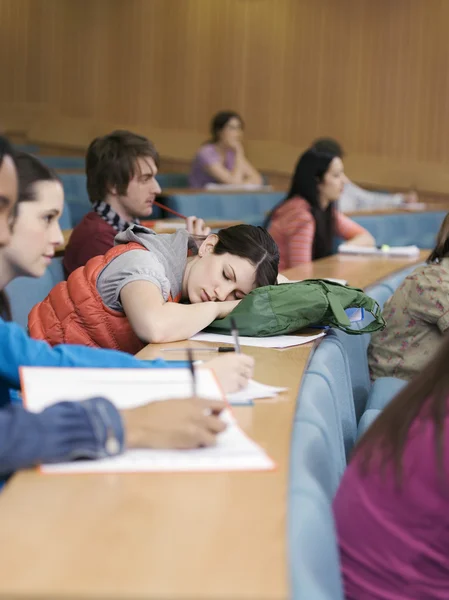 Спляча підлітка студент — стокове фото