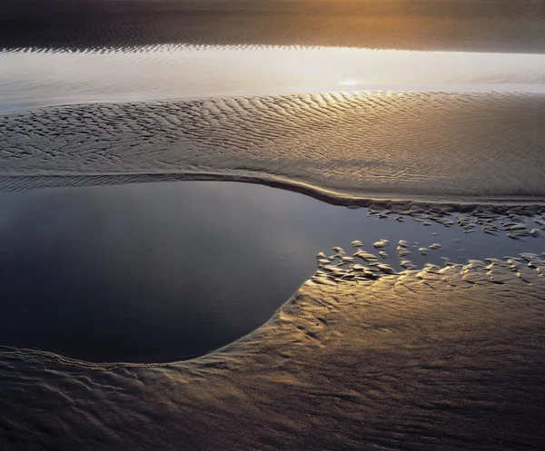 Sunlight on the Tidal Flats — Stock Photo, Image