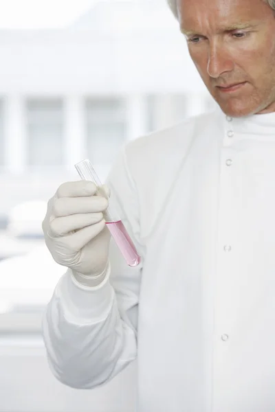 Cientista que examina a solução no tubo de ensaio — Fotografia de Stock