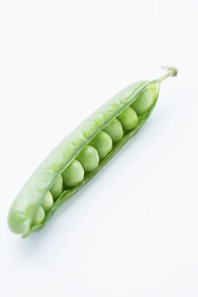 Groene erwt pod — Stockfoto