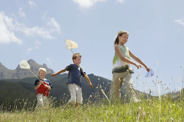 Kinderen vangen Bugs in veld — Stockfoto