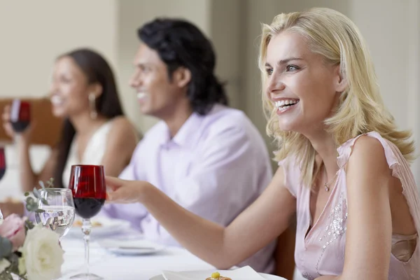 Friends at Dinner Party Stock Image