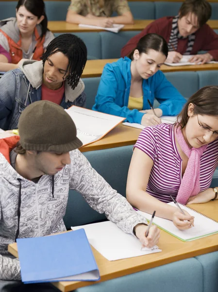 Students in lecture room Royalty Free Stock Photos