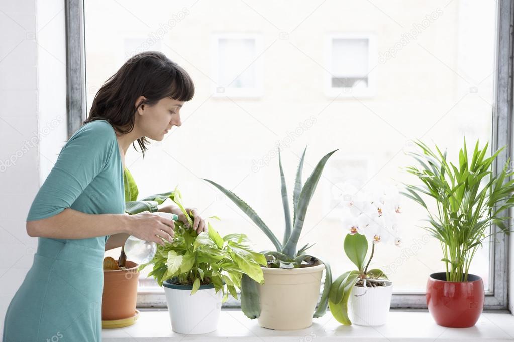 Businesswoman spraying pot plants