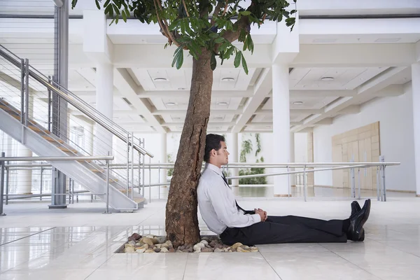 Бизнесмен дремлет под деревом — стоковое фото